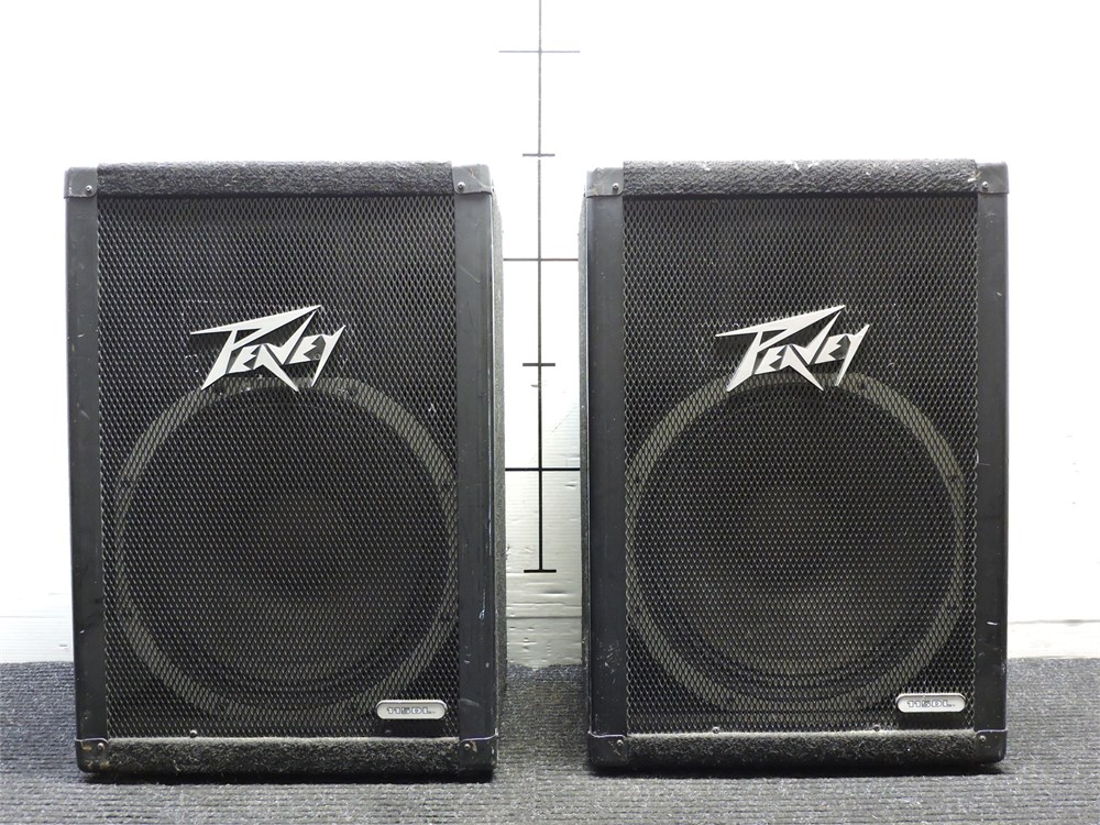 Police Auctions Canada - Pait of Peavey 115DL Speakers (263731B)