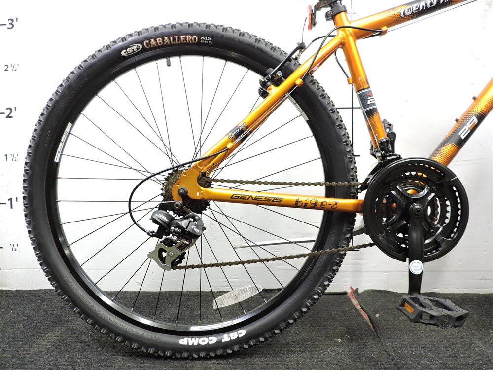 Genesis 29 big hot sale ez mountain bike