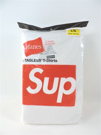 Supreme hanes cheap tee sizing