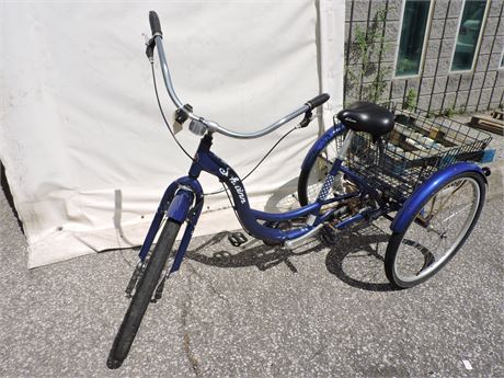 Schwinn tricycle blue online