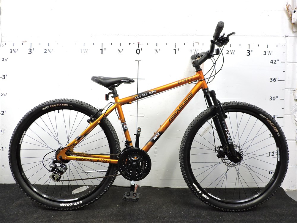 genesis 29 big ez mountain bike