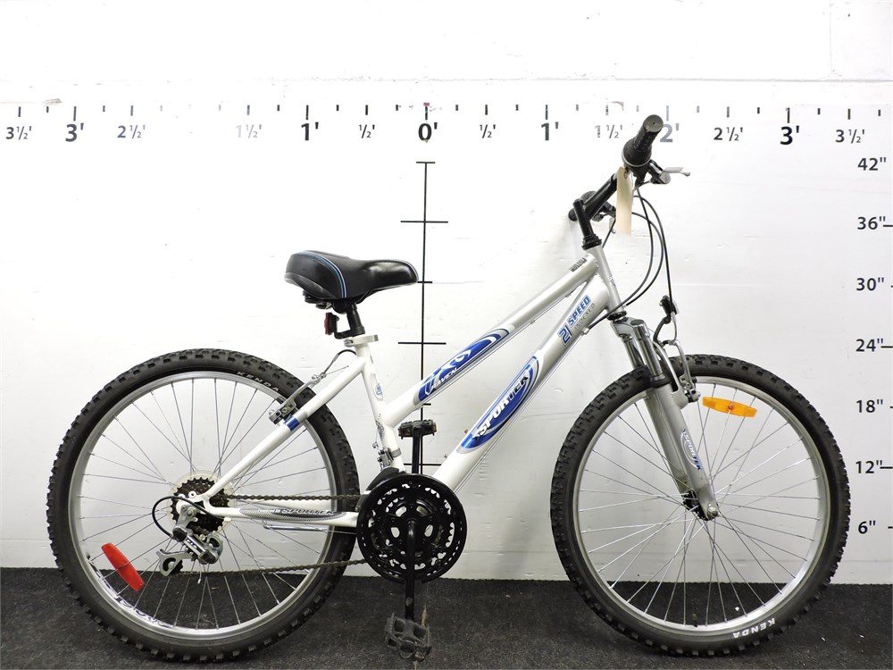 Raven 24 inch discount bike