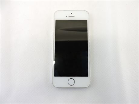 16GB Apple iPhone 5s Smartphone Silver (Unlocked)  (252365B)