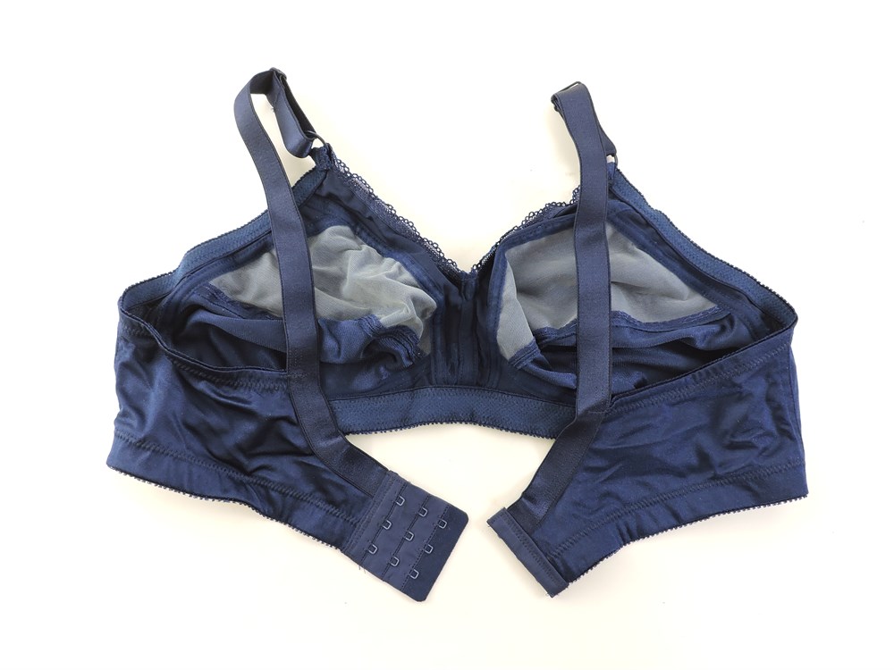 Police Auctions Canada - Warner's Firm Support Wire-Free Bra - Size B 36-42  (242325L)