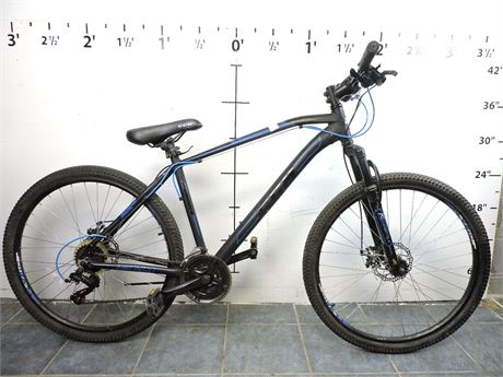 Ccm hardtail 2024