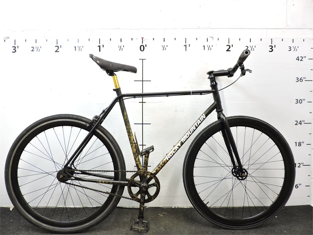 Raleigh fixed gear online