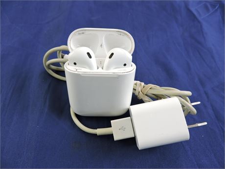 Apple AirPods with A1602 Charging Case (521528B)